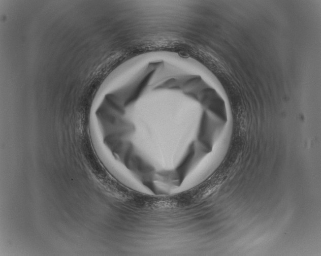 X0000072980546200608211352