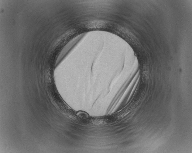 X0000072980547200608211352