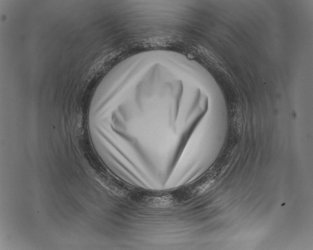 X0000072980548200608211352