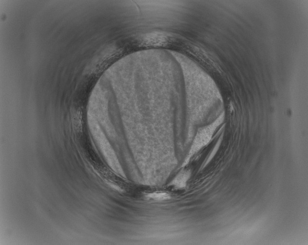 X0000072980551200608211352