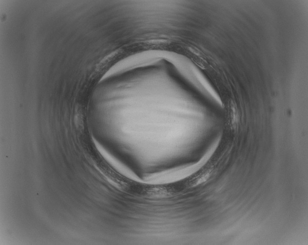 X0000072980562200608211352