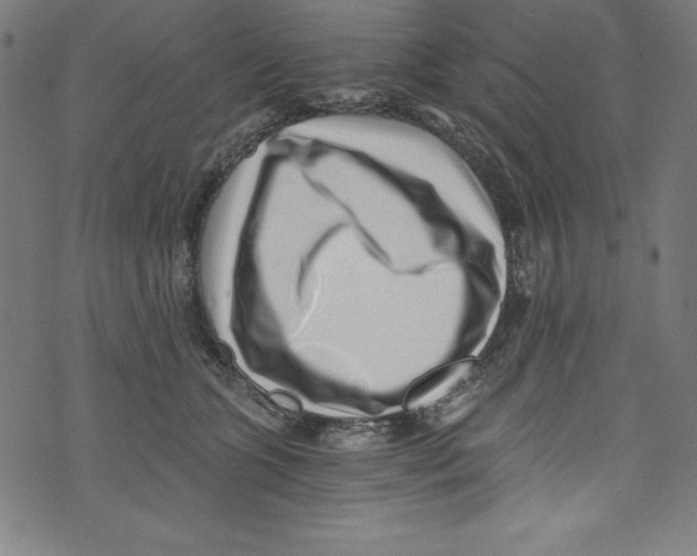 X0000072980563200608211352