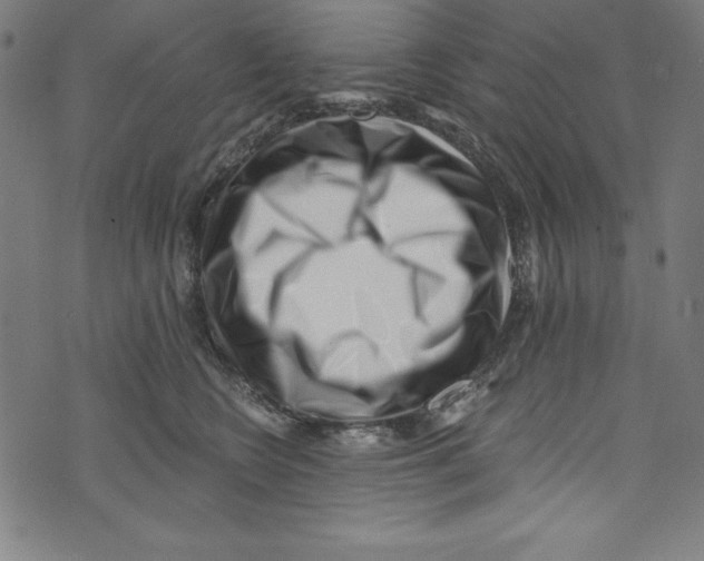 X0000072980566200608211352