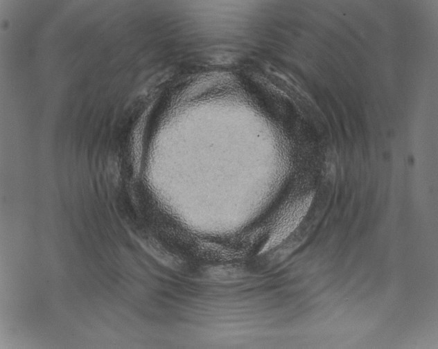 X0000072980568200608211352