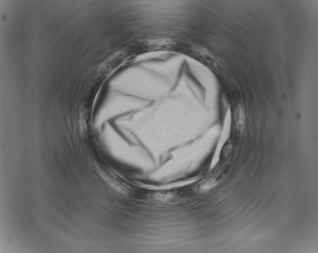X0000072980570200608211352