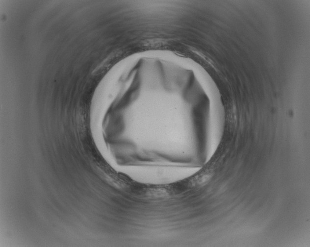 X0000072980572200608211352