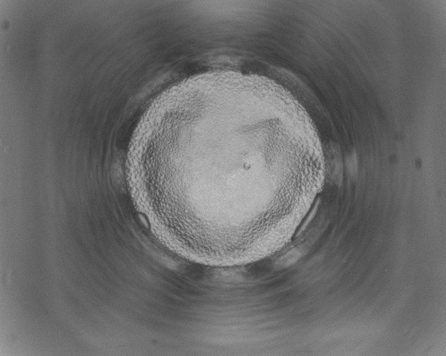 X0000072980573200608211353