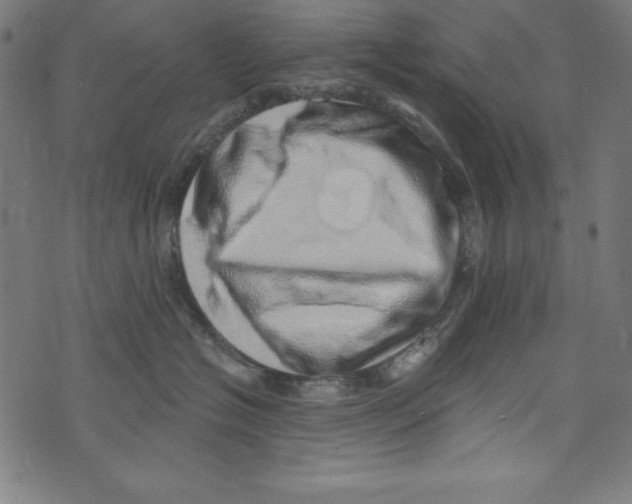 X0000072980574200608211353