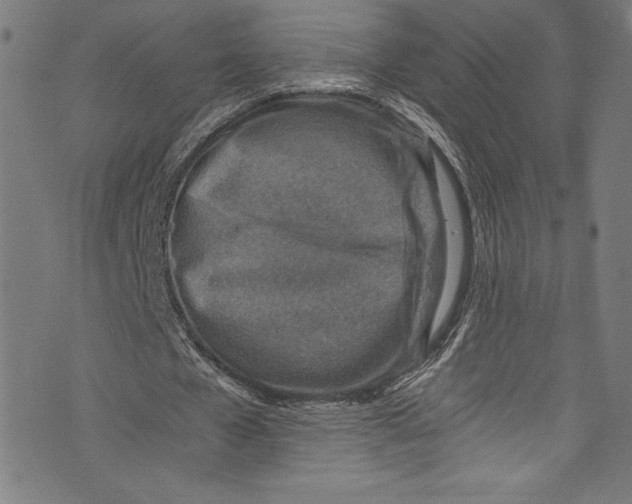 X0000072980577200608211352