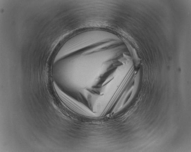 X0000072980580200608211352