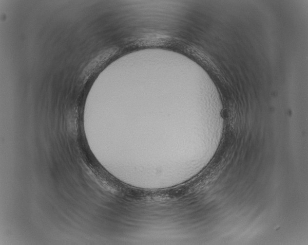 X0000072980586200608211352