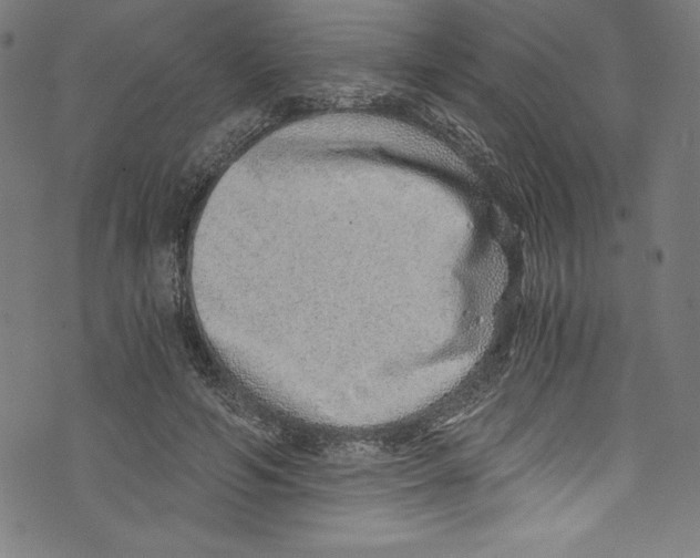 X0000072980594200608211352