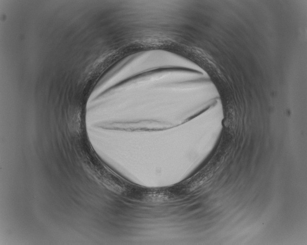 X0000072980596200608211351