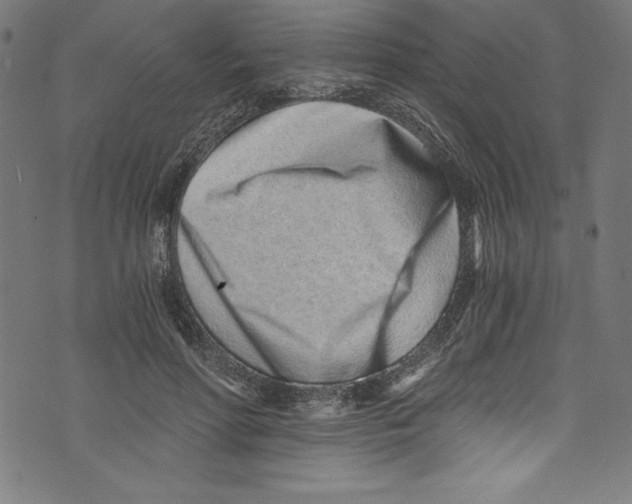 X0000072980598200608211351
