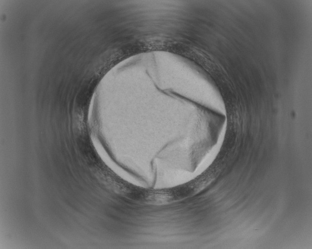 X0000072980610200608211351