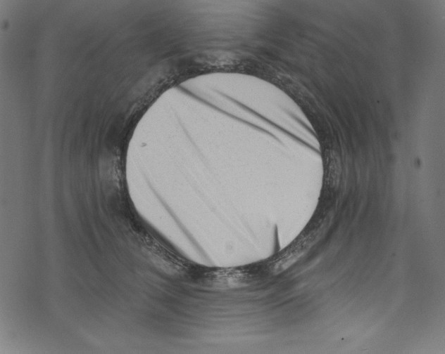 X0000072980612200608211351