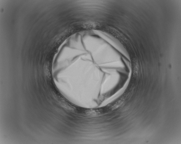 X0000072980616200608211351