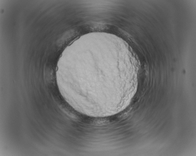 X0000072980619200608211351