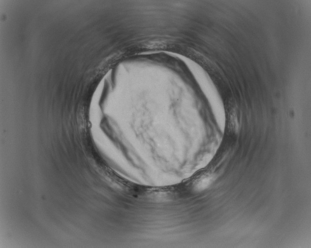 X0000072980620200608211351