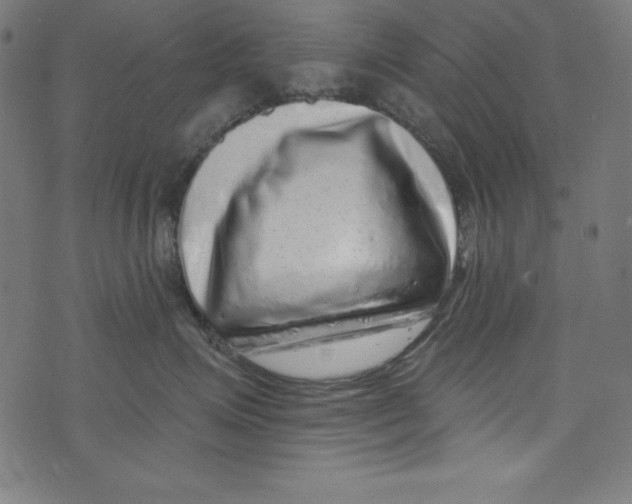 X0000072980623200608211351