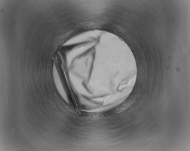 X0000072980624200608211351