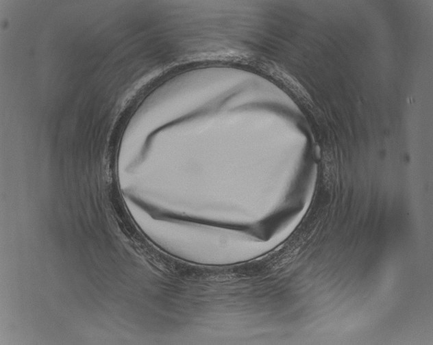 X0000072980628200608211350
