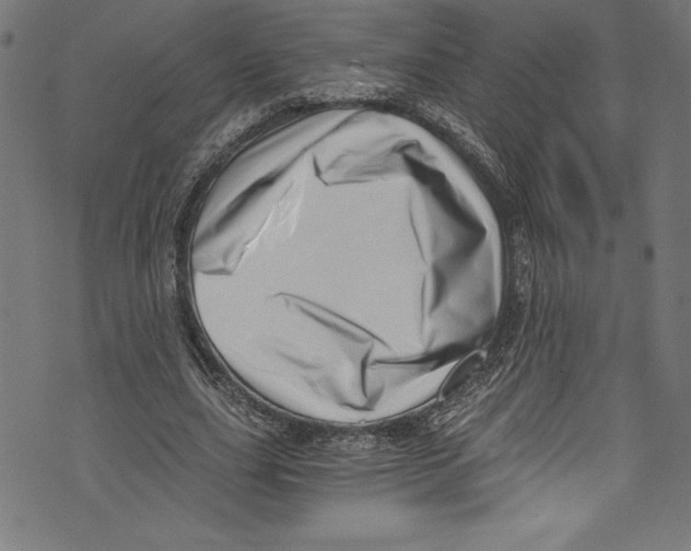X0000072980631200608211350