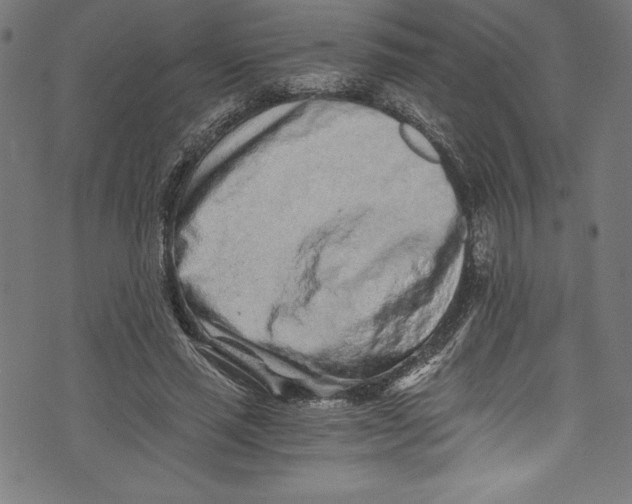 X0000072980637200608211350