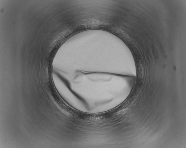 X0000072980638200608211350