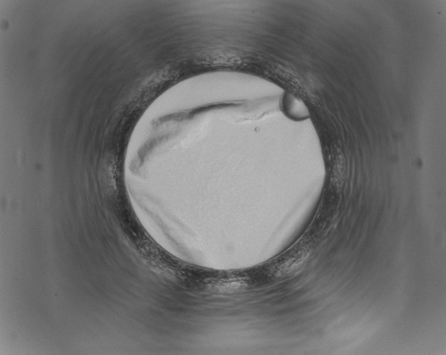 X0000072980643200608211351
