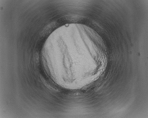 X0000072980646200608211351