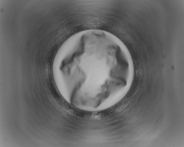 X0000072980647200608211351