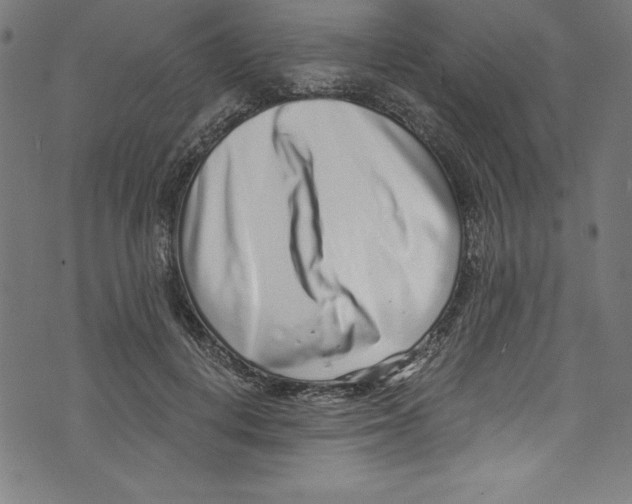 X0000072980648200608211351
