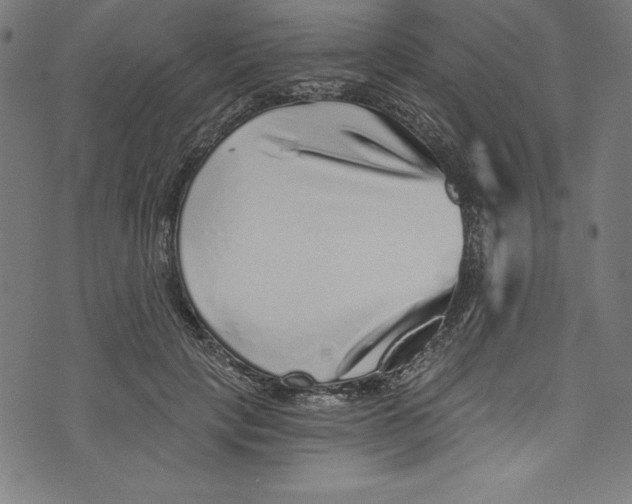 X0000072980649200608211351