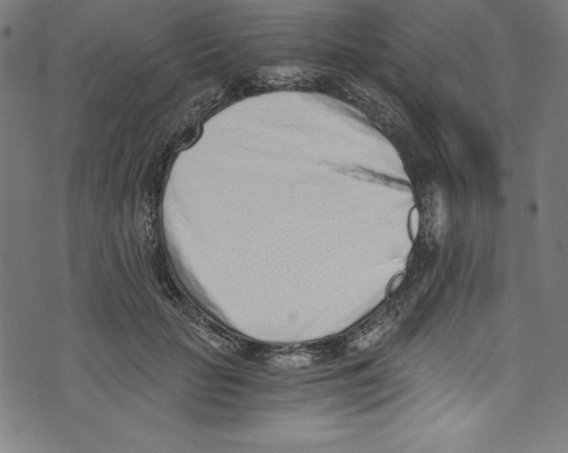 X0000072980653200608211351
