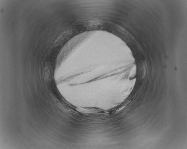 X0000072980654200608211351