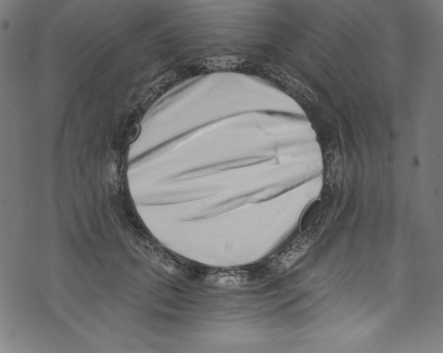 X0000072980655200608211351