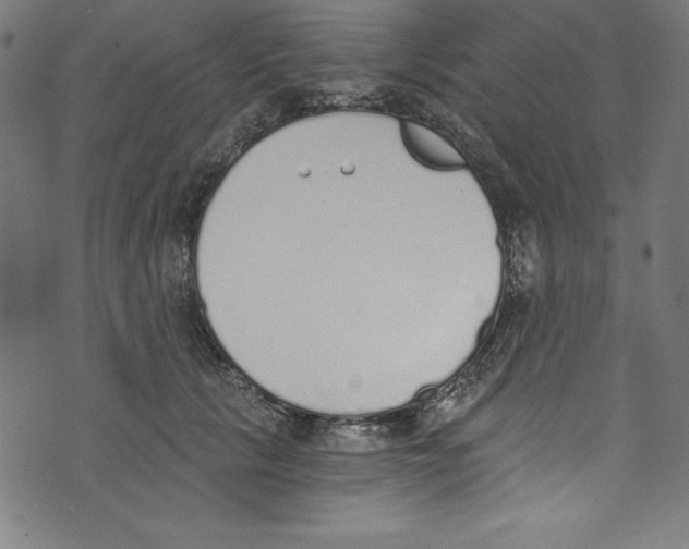 X0000072980657200608211351