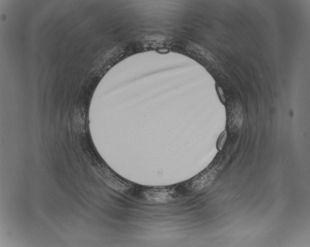X0000072980661200608211351