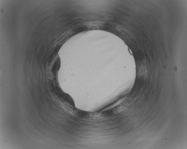 X0000072980666200608211351