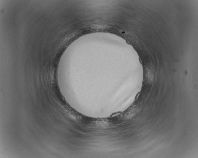X0000072980668200608211351