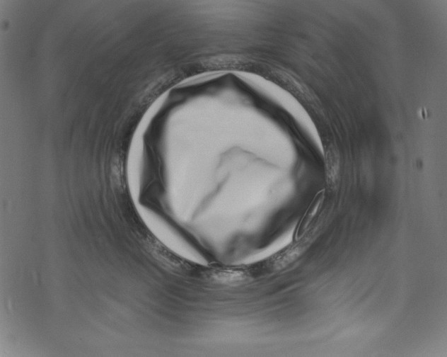 X0000072980669200608211351