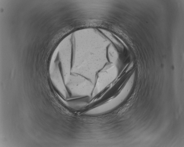 X0000072980673200608211350