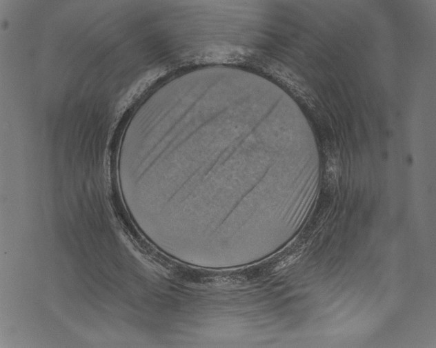 X0000072980678200608211350