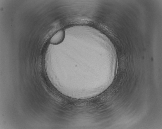 X0000072980679200608211350
