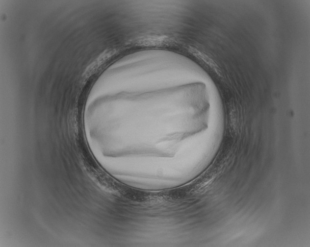 X0000072980682200608211350
