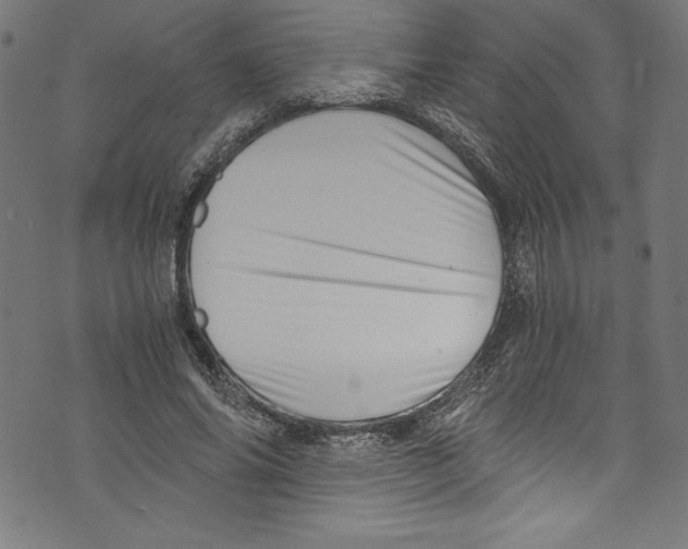 X0000072980686200608211350