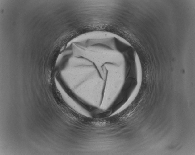 X0000072980693200608211350