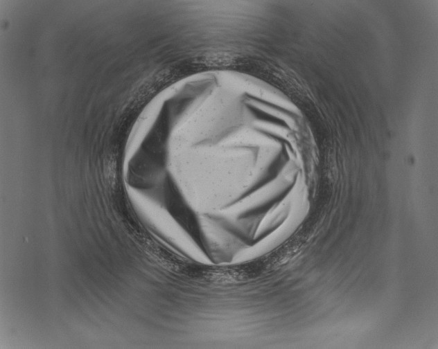 X0000072980697200608211350