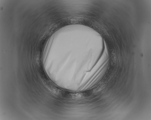 X0000072980698200608211350
